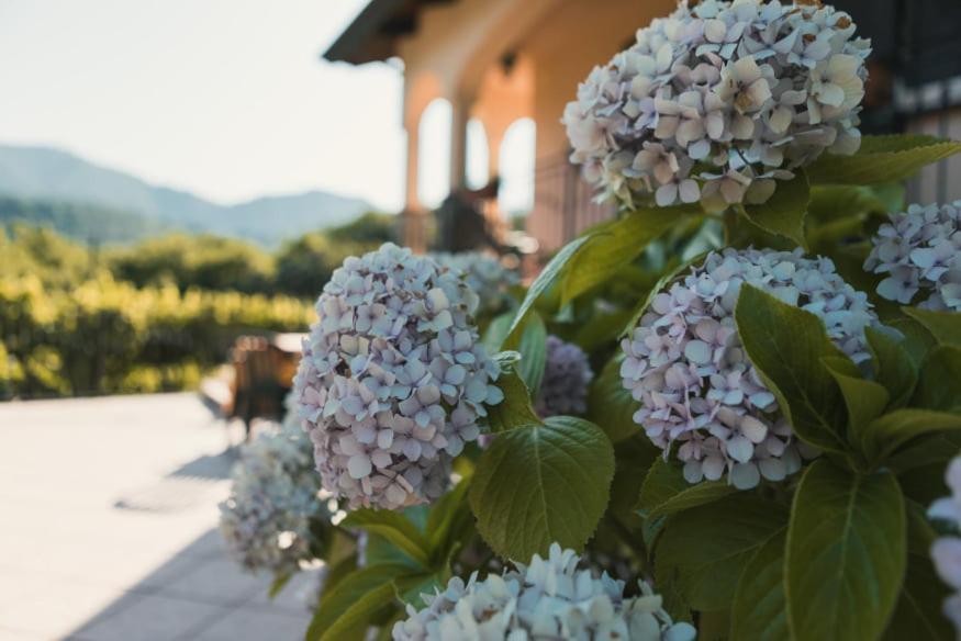 Il Frescale Country House Tramonti Ngoại thất bức ảnh