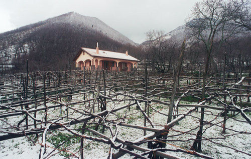 Il Frescale Country House Tramonti Ngoại thất bức ảnh
